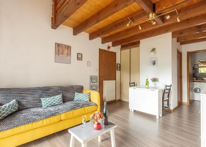 Appartement Les Louveteaux La Bresse